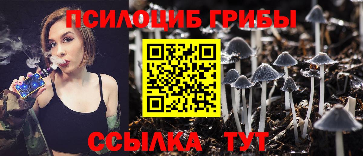 Галлюциногенные грибы MAGIC MUSHROOMS Бор